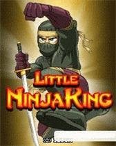 game pic for Ninja Es